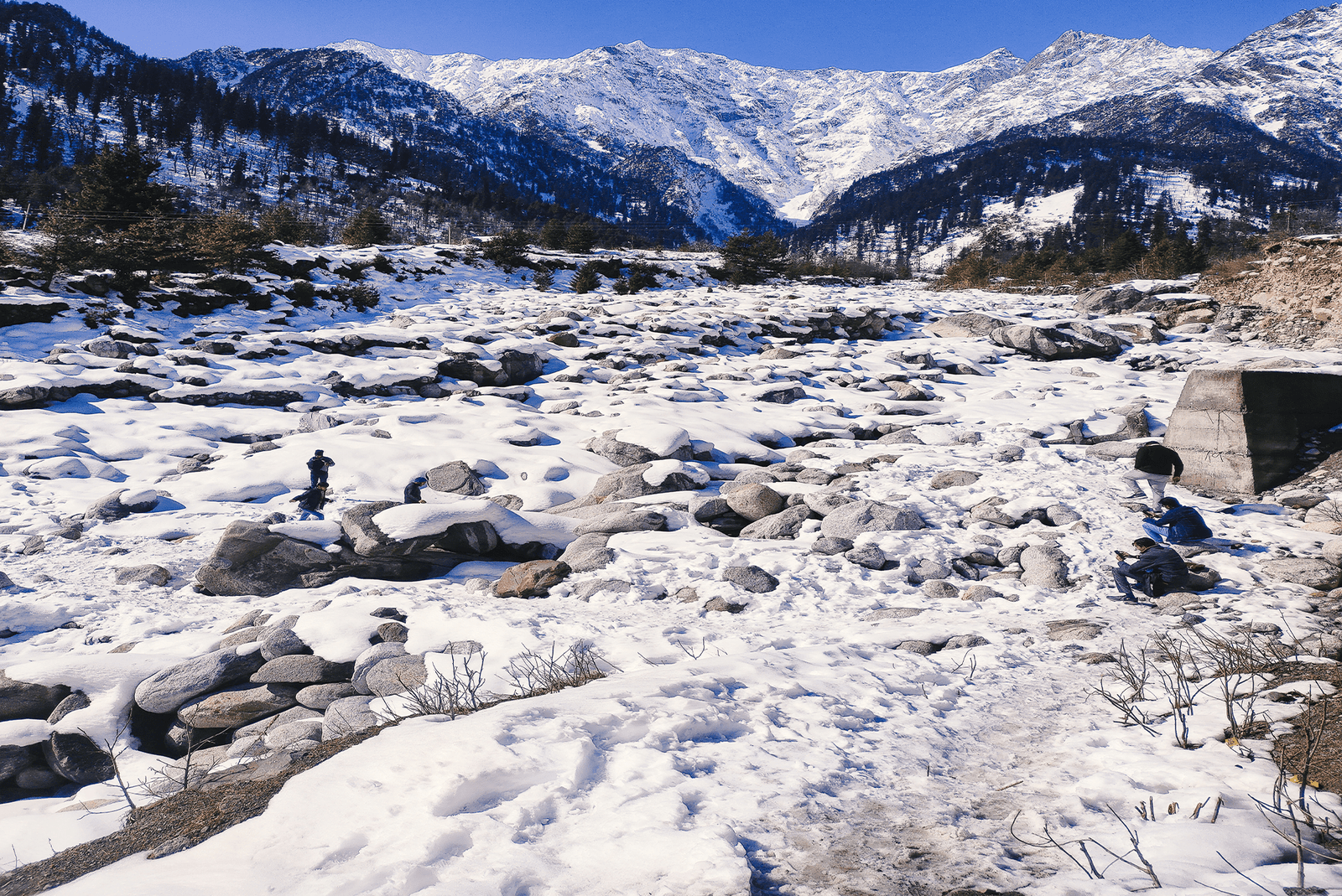 21 Best Places to visit in Manali