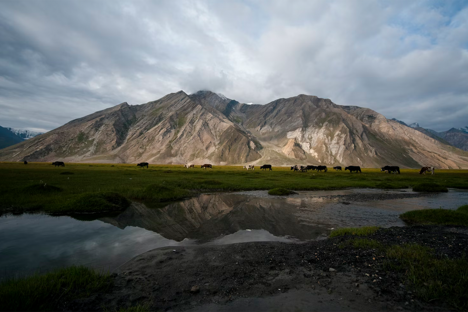 12 Best Places to visit in Ladakh